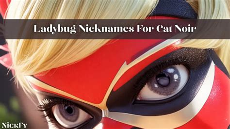 what does cat noir call ladybug|cat noir nicknames.